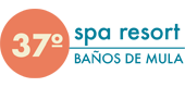 Polo Logo